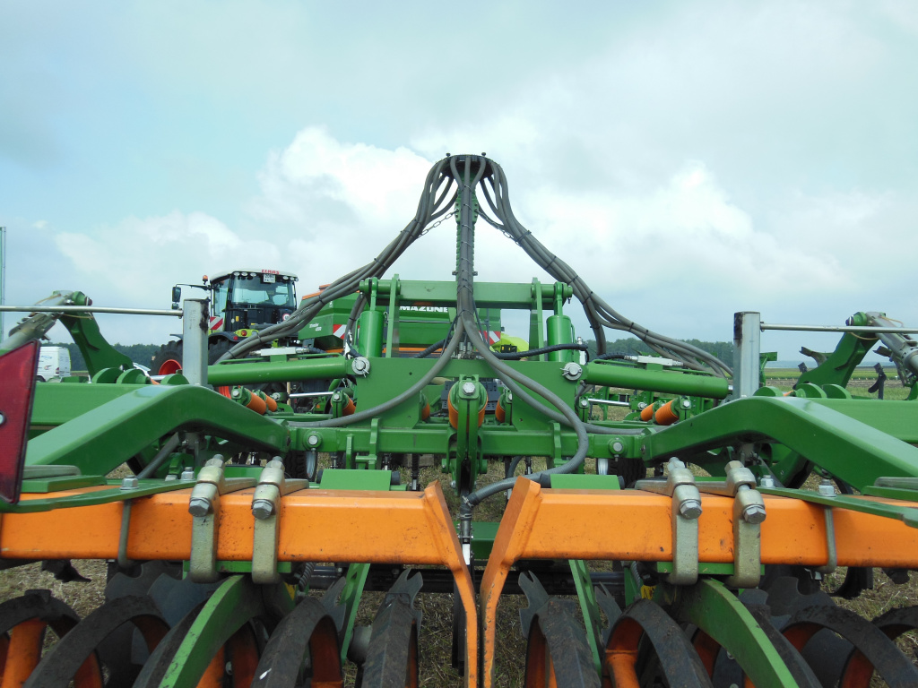 Выставочные образцы 