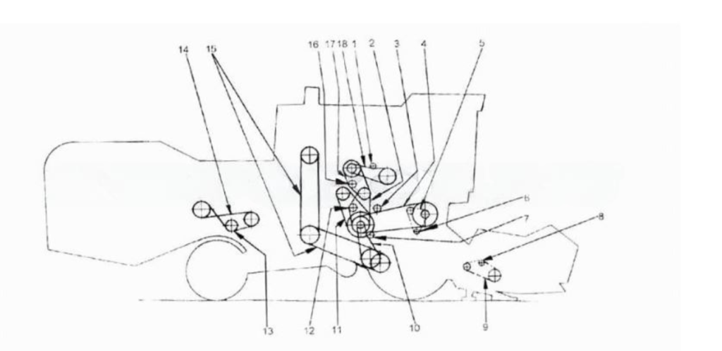 Правая Правая