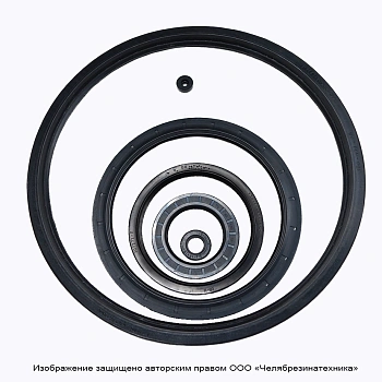 Армированная манжета (сальник) 2.2-70x100x10 ГОСТ 8752-79 