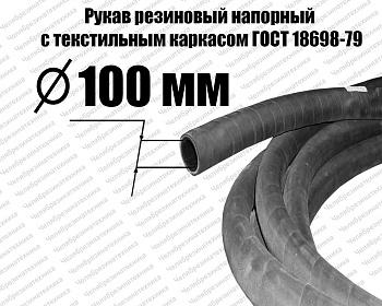 Рукав Ш(VIII)  100-0,63   ГОСТ 18698-79 Саранск