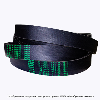 Ремень  3812 3HB La (3800 Lp) многоручьевой,  (К) (Зел.)