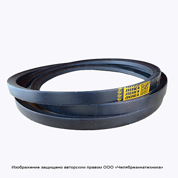 Ремень 8000  SPC (УВ) Lp ЛЕНСА