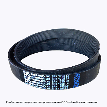 Ремень 1795  8PK поликлиновой PIX THERMAL-XC